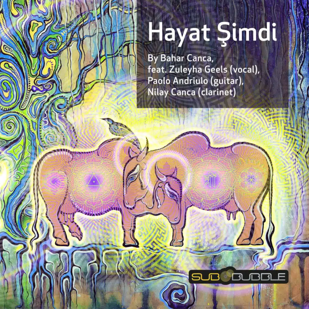 Hayat Simdi (feat. Zuleyha Geels, Nilay Canca & Paolo Andriulo)