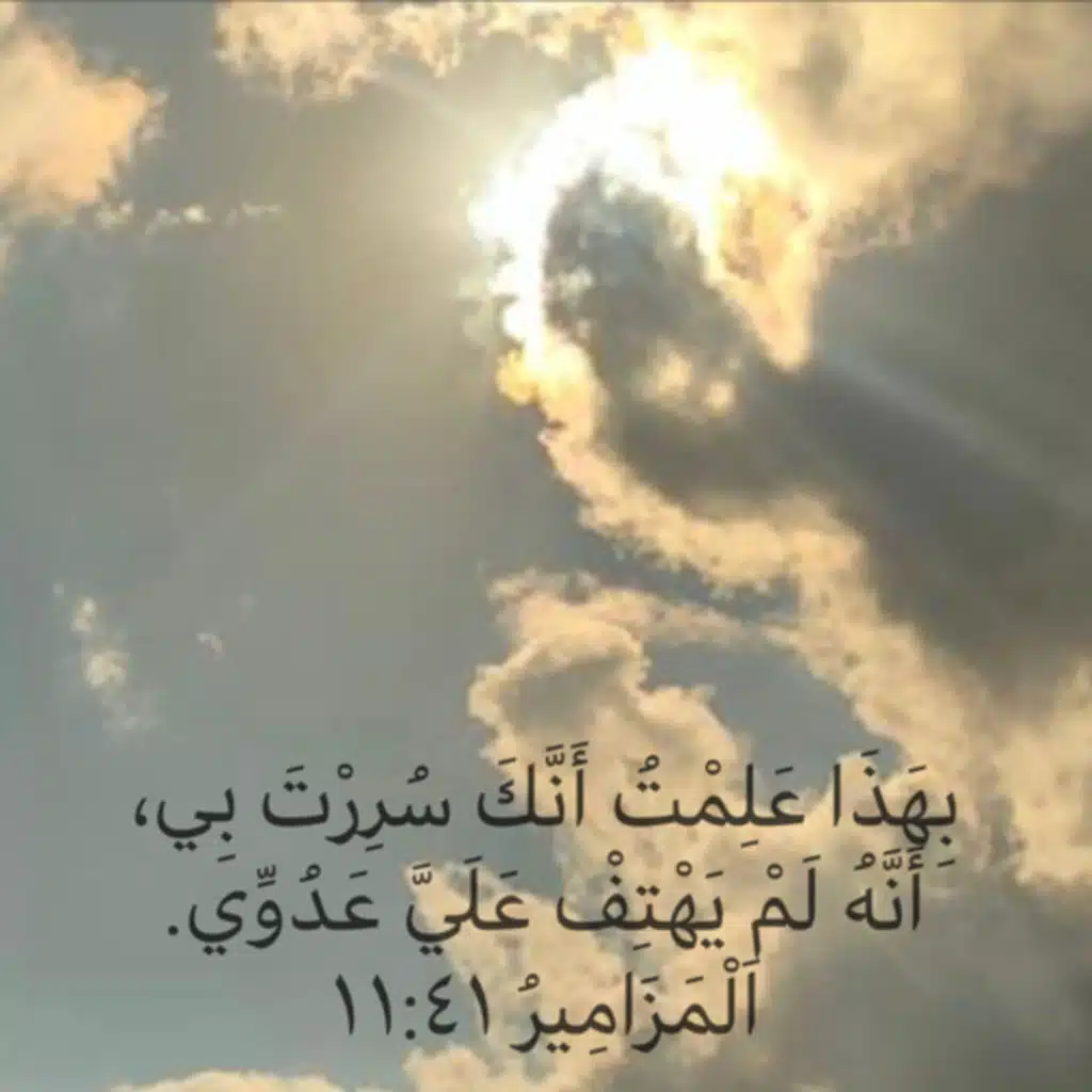 مزمور ٤١ ج٢ إرحمني يا رب لأني أخطأت إليك