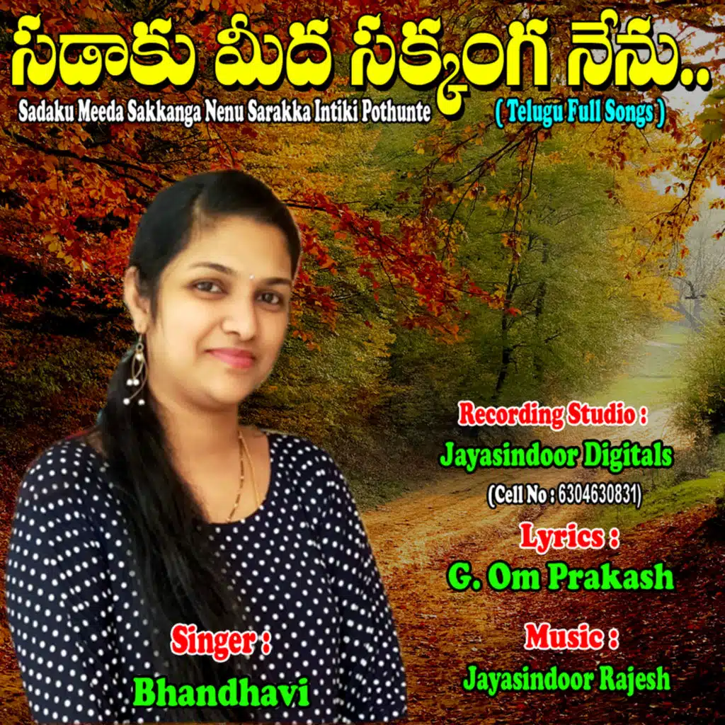 Sadaku Meeda Sakkanga Nenu Sarakka Intiki Pothunte