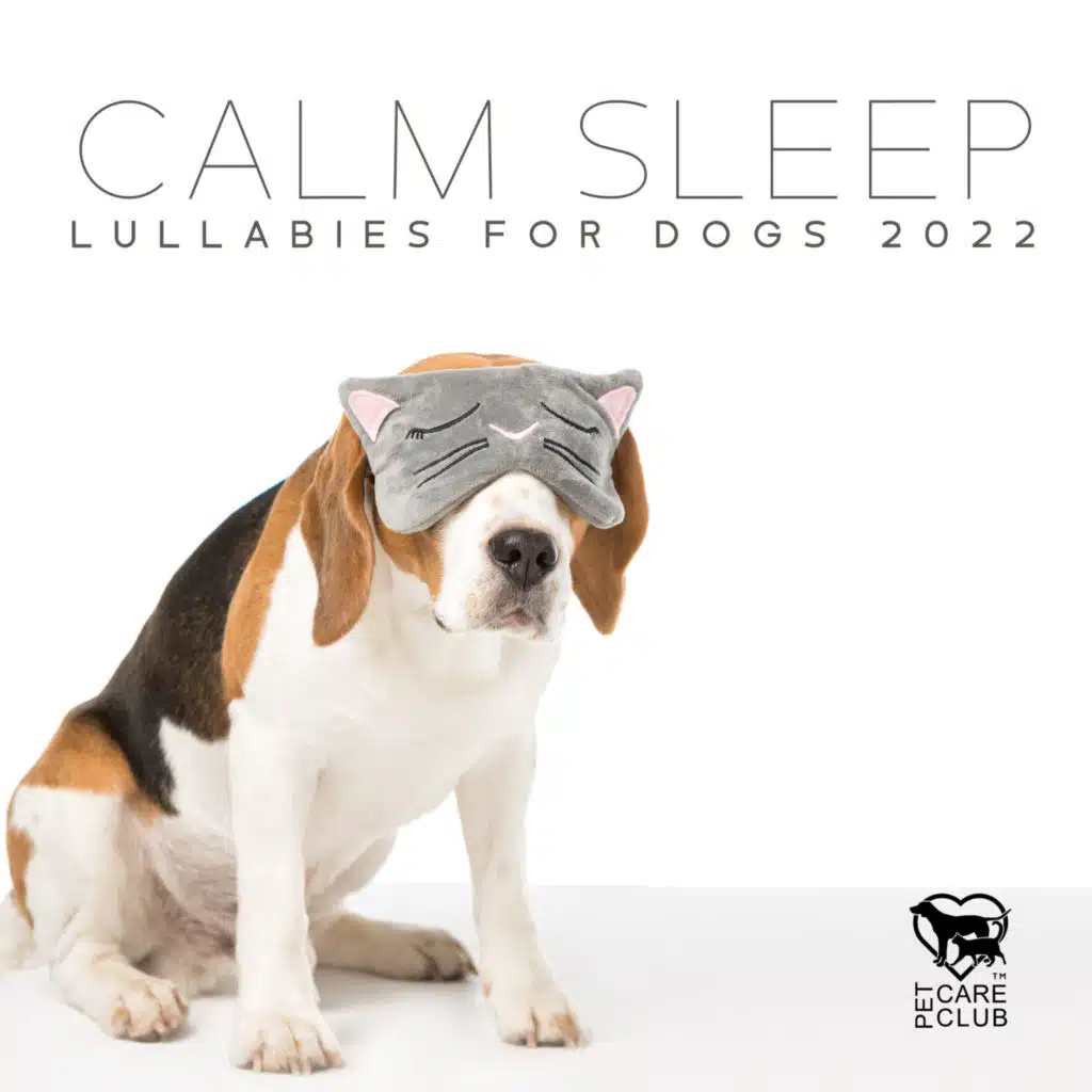 Calm Sleep Lullabies for Dogs 2022