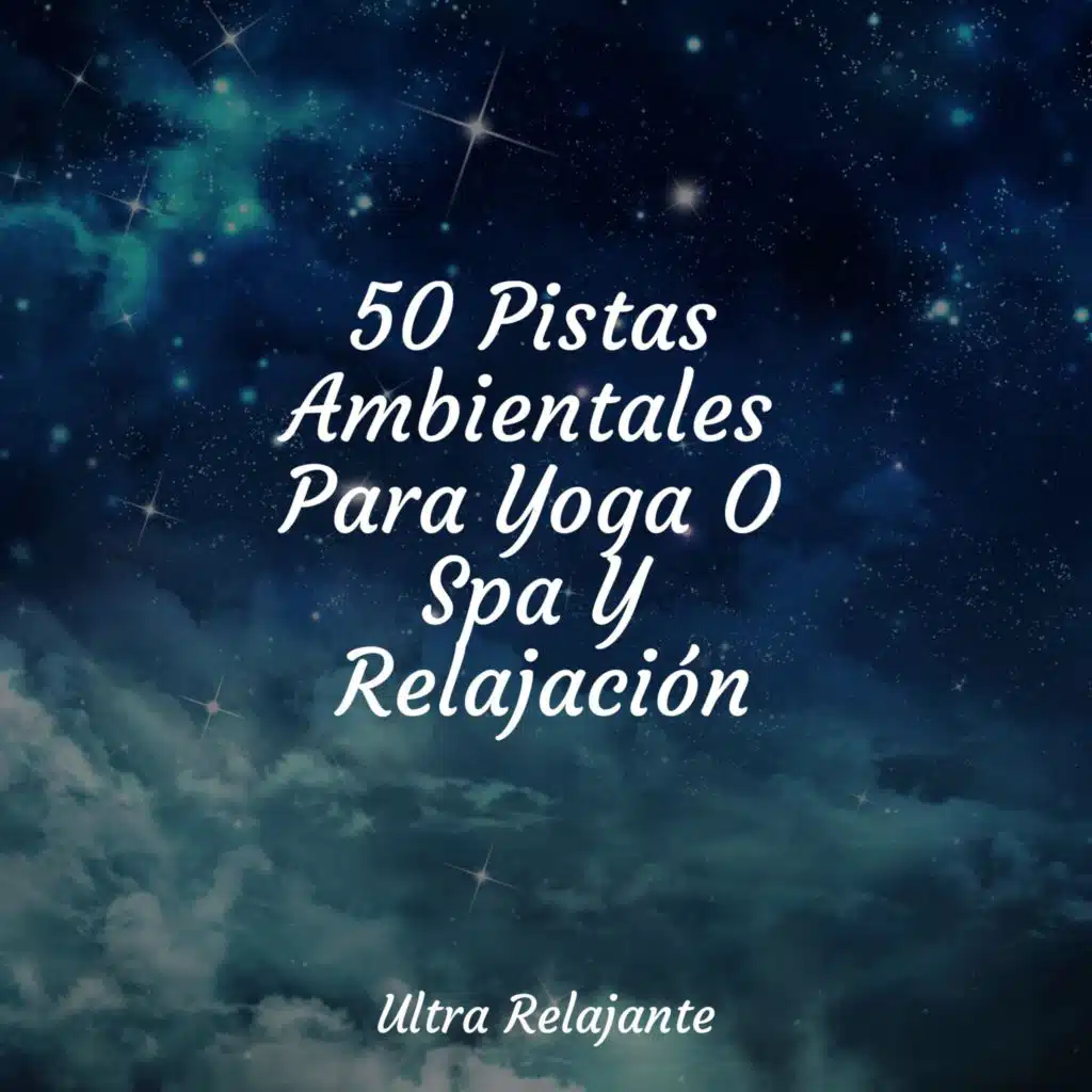 50 Pistas Ambientales Para Yoga O Spa Y Relajación