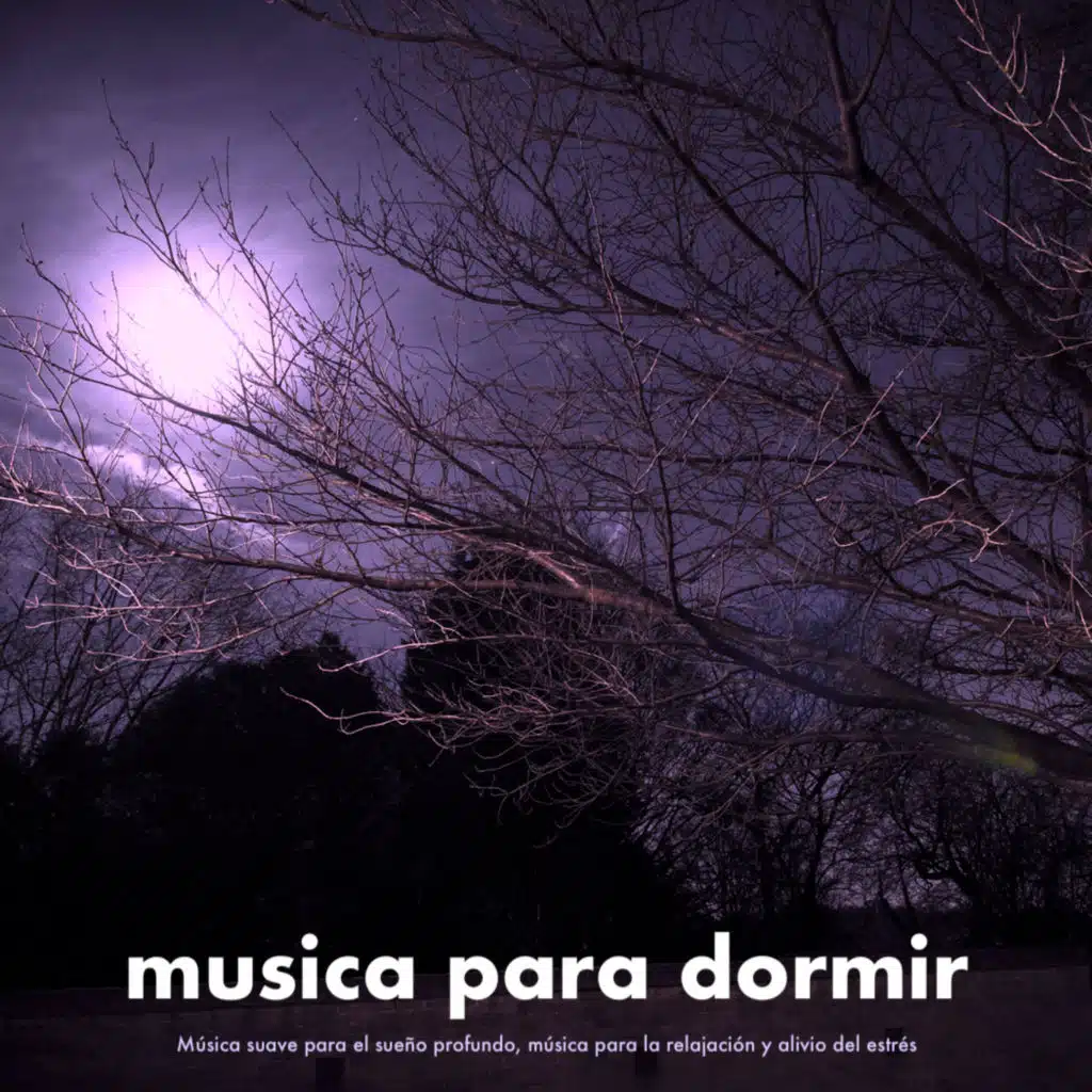 Música tranquila
