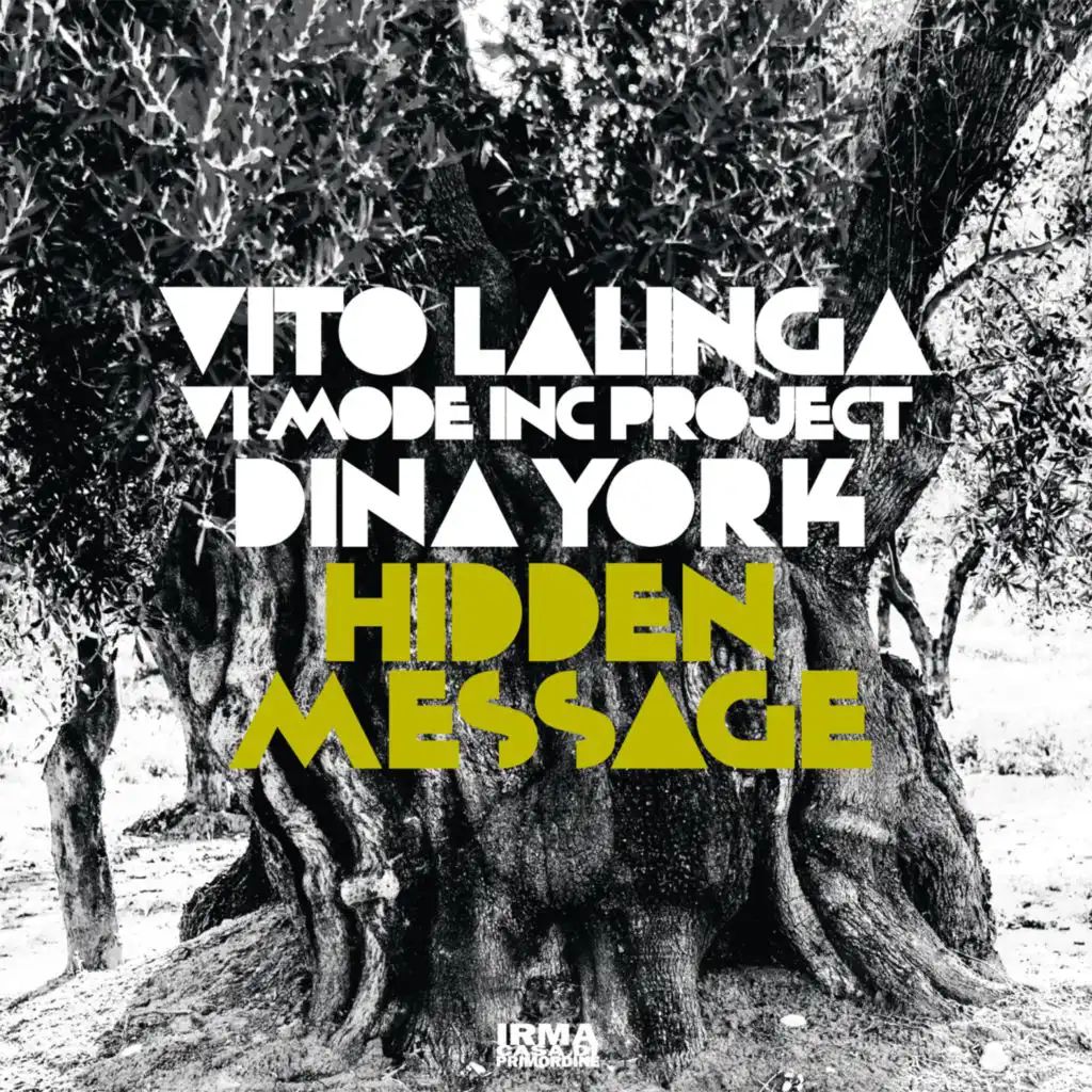 Vito Lalinga (Vi Mode Inc Project) & Dina York