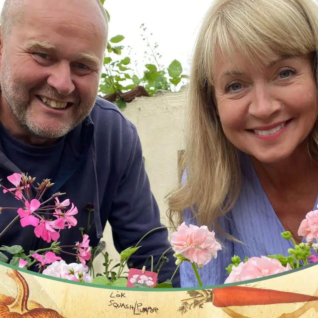 Sju sorters sommarblommor