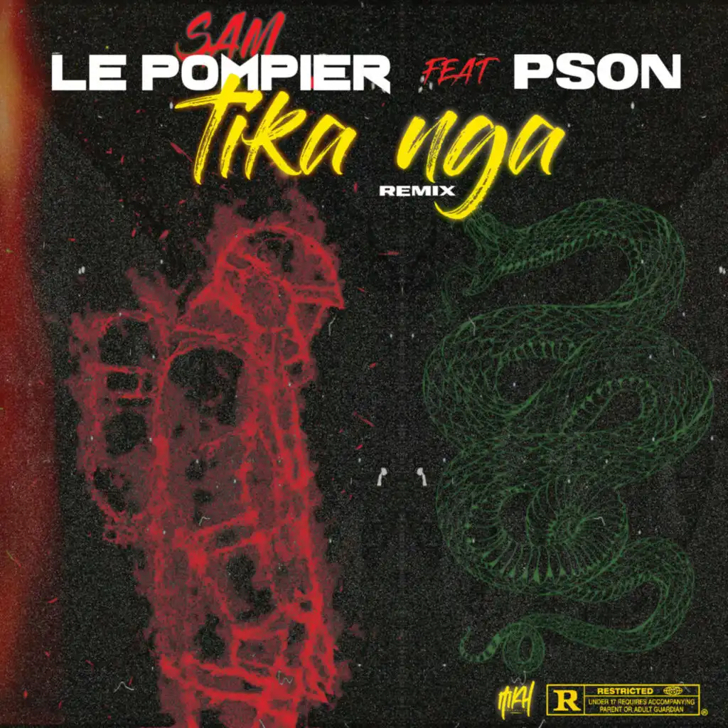 TIKA NGA Remix (feat. Pson)