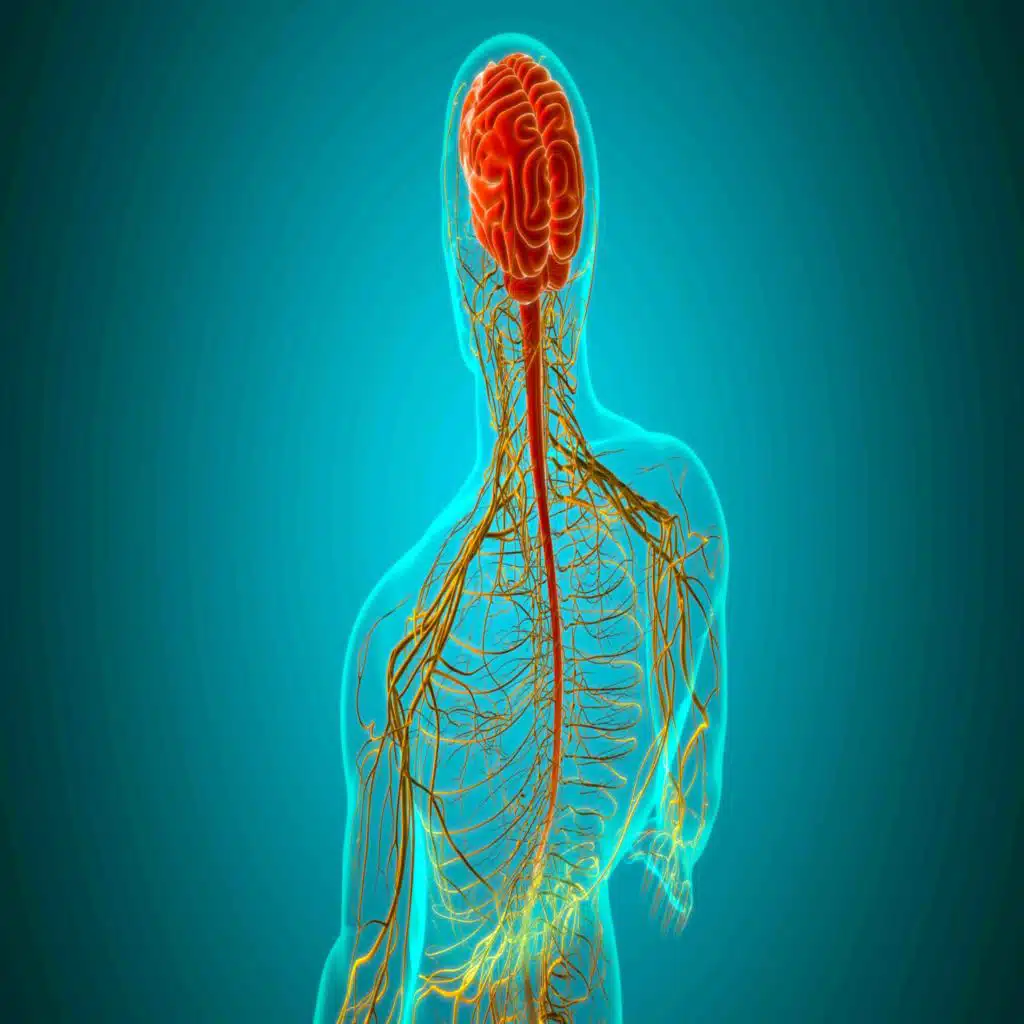 392. Common Neurosurgical Infections