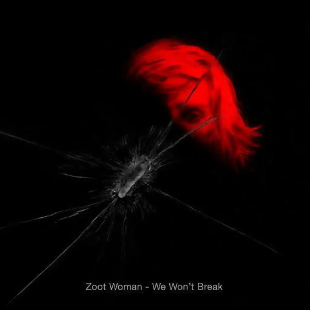 We Won't Break (Boris Dlugosch Les Visiteurs Remix)