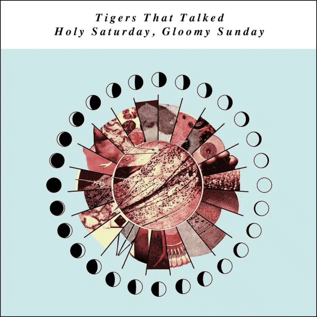 Tigers That Talked