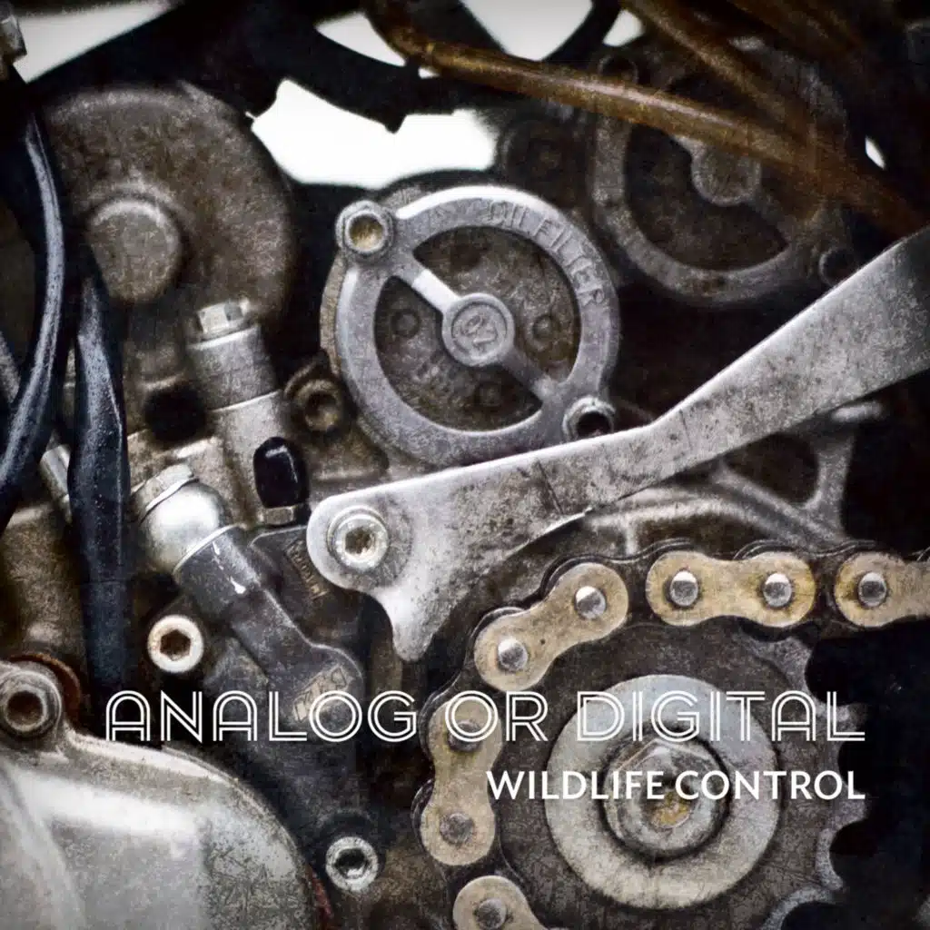 Analog or Digital