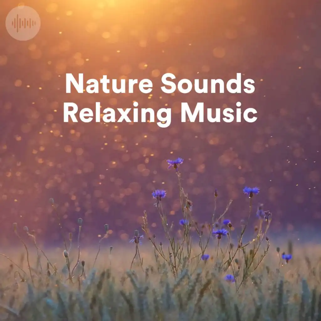 Nature Sounds Relaxing Music