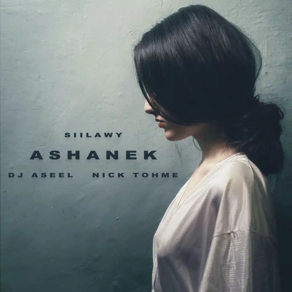عشانك - Nick Tohme & DJ Aseel Remix