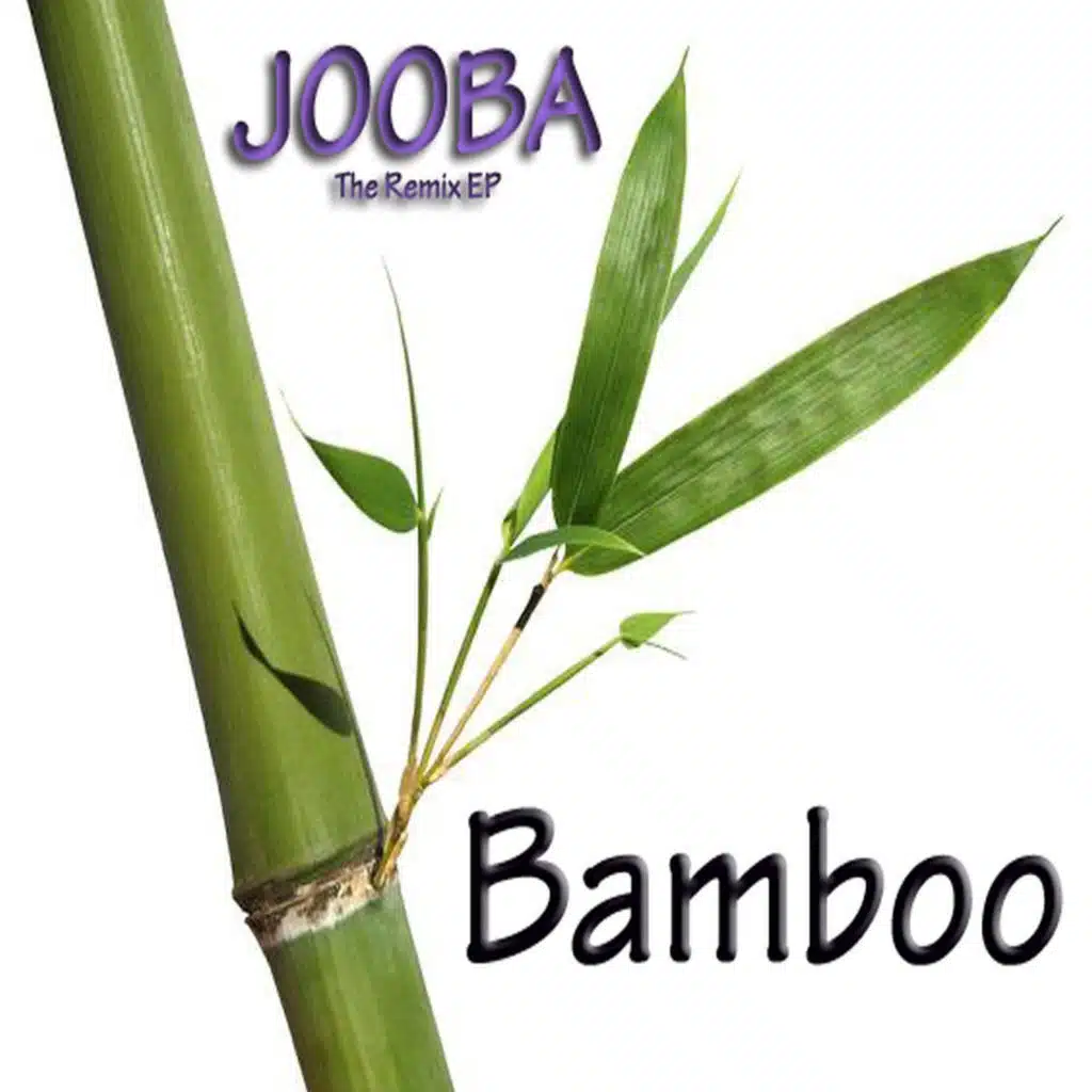 Bamboo