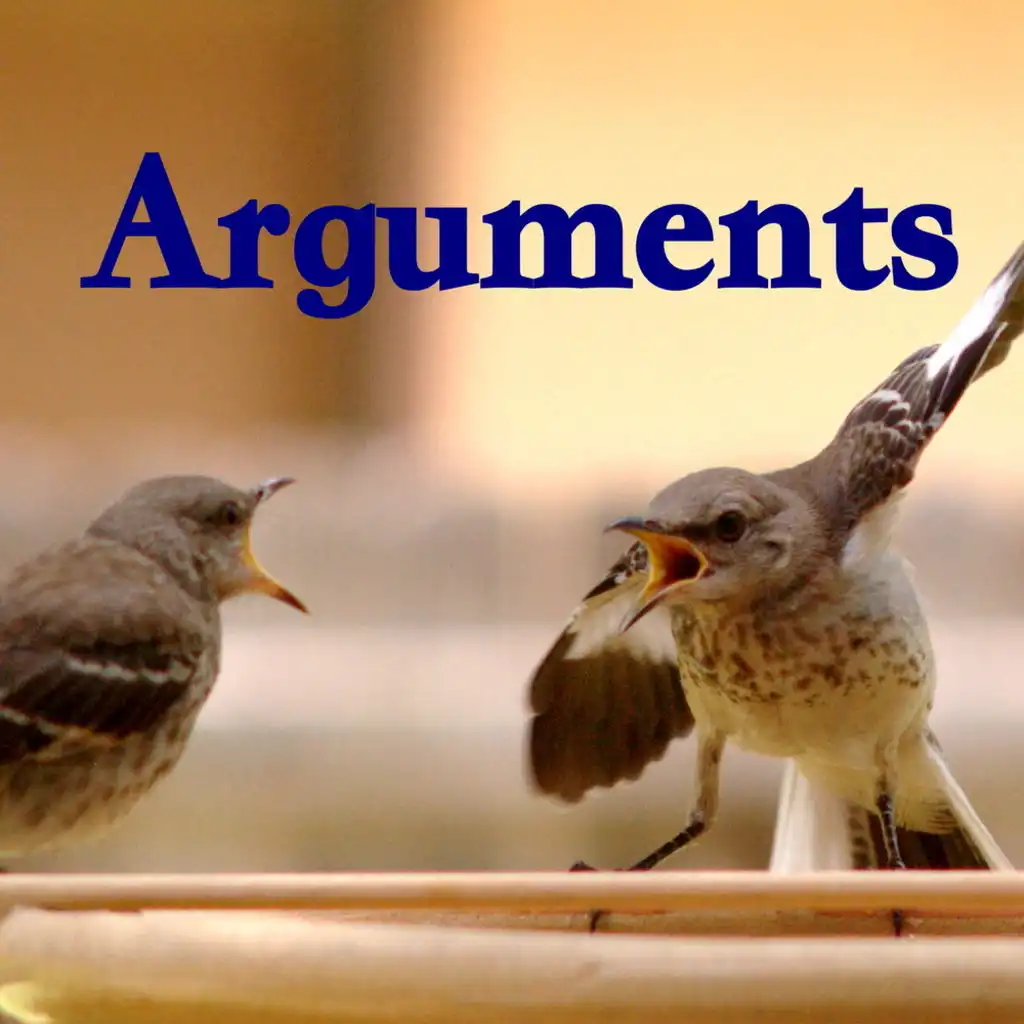 Arguments