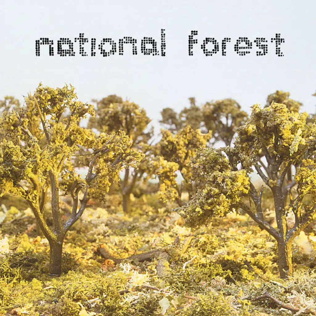 Sea of Free Electrons