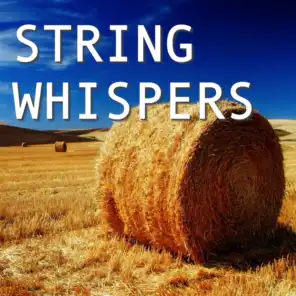 String Whispers