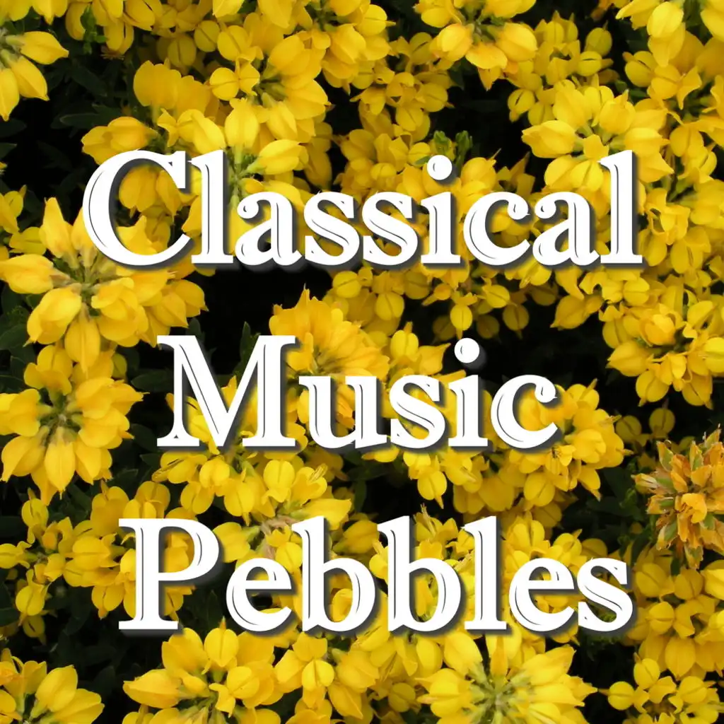 Classical Music Pebbles