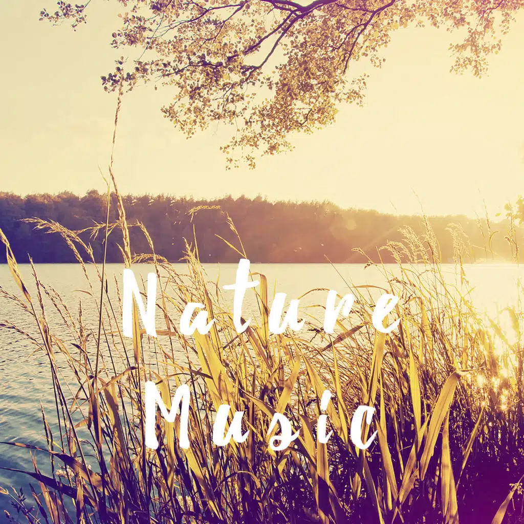 Spiritual Fitness Music, Relax and Music para Bebes