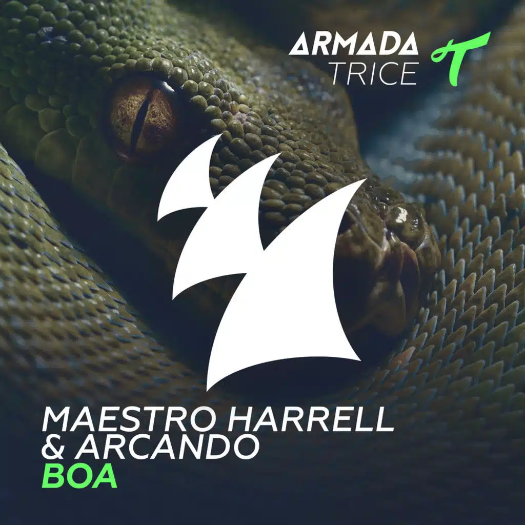 Maestro Harrell & Arcando