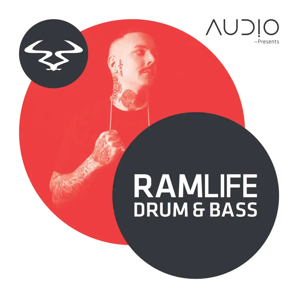 RAMlife Drum & Bass (Continuous DJ Mix)