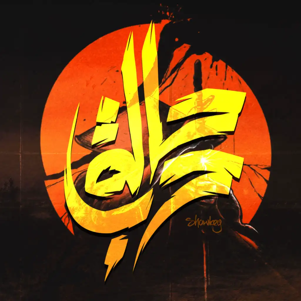 محمود المصري