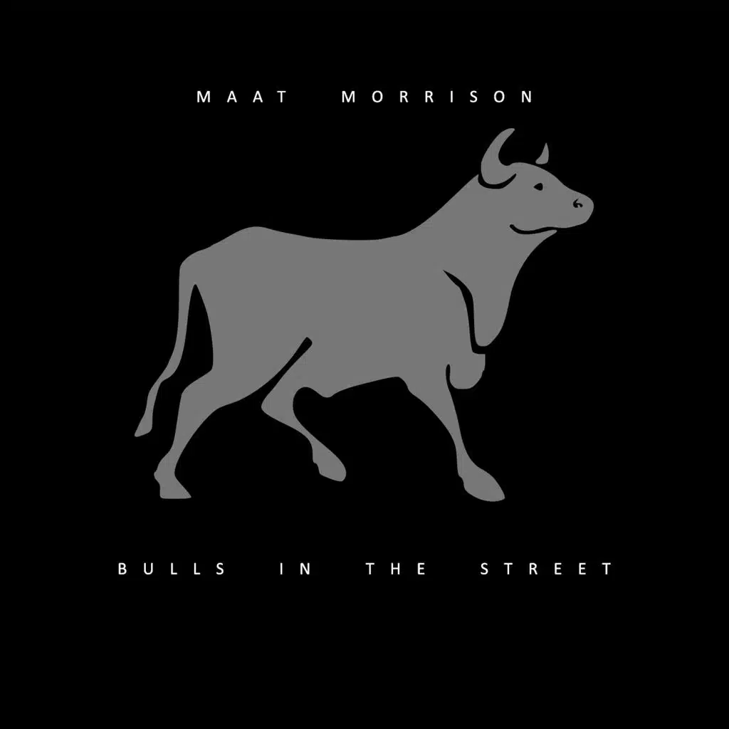 Bulls In The Street