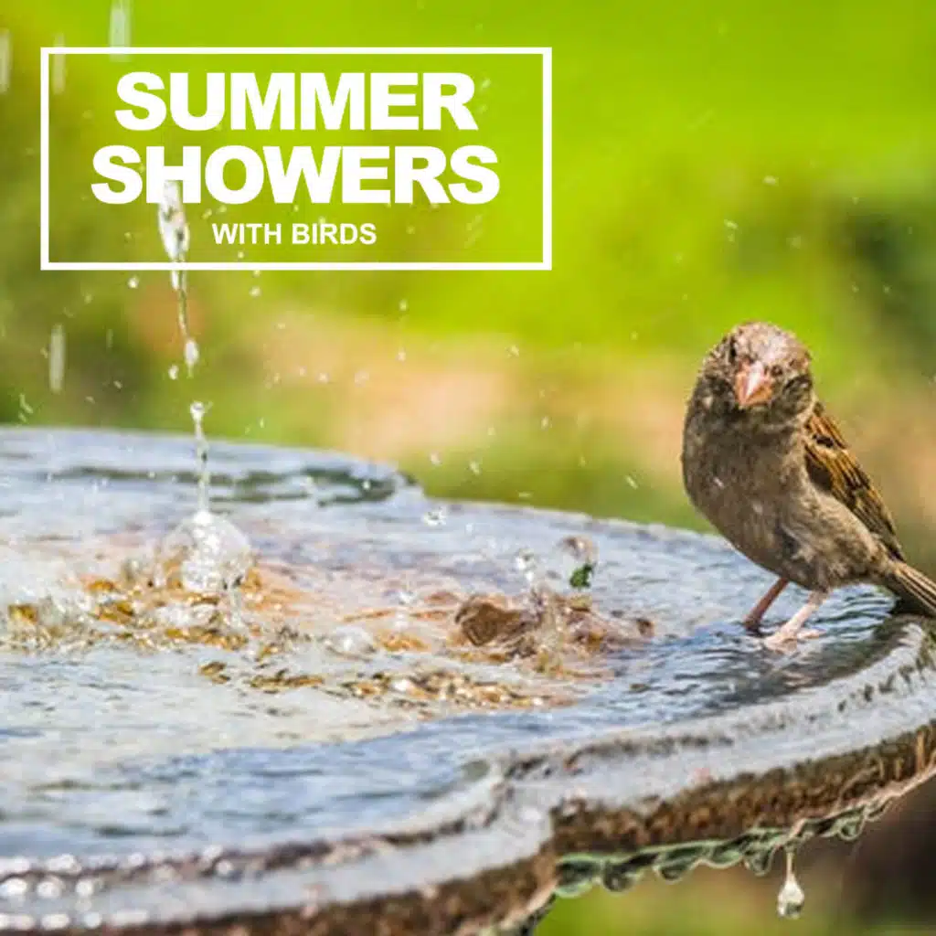Summer Showers With Birds