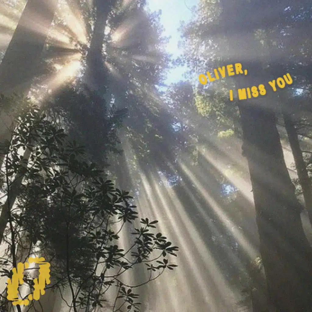 Oliver, I Miss You (feat. DEVONN & babybloo)