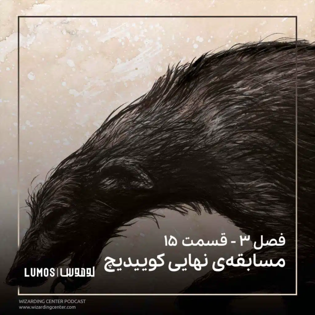 زندانی آزکابان - فصل ۱۵: مسابقه‌ی نهایی کوییدیچ