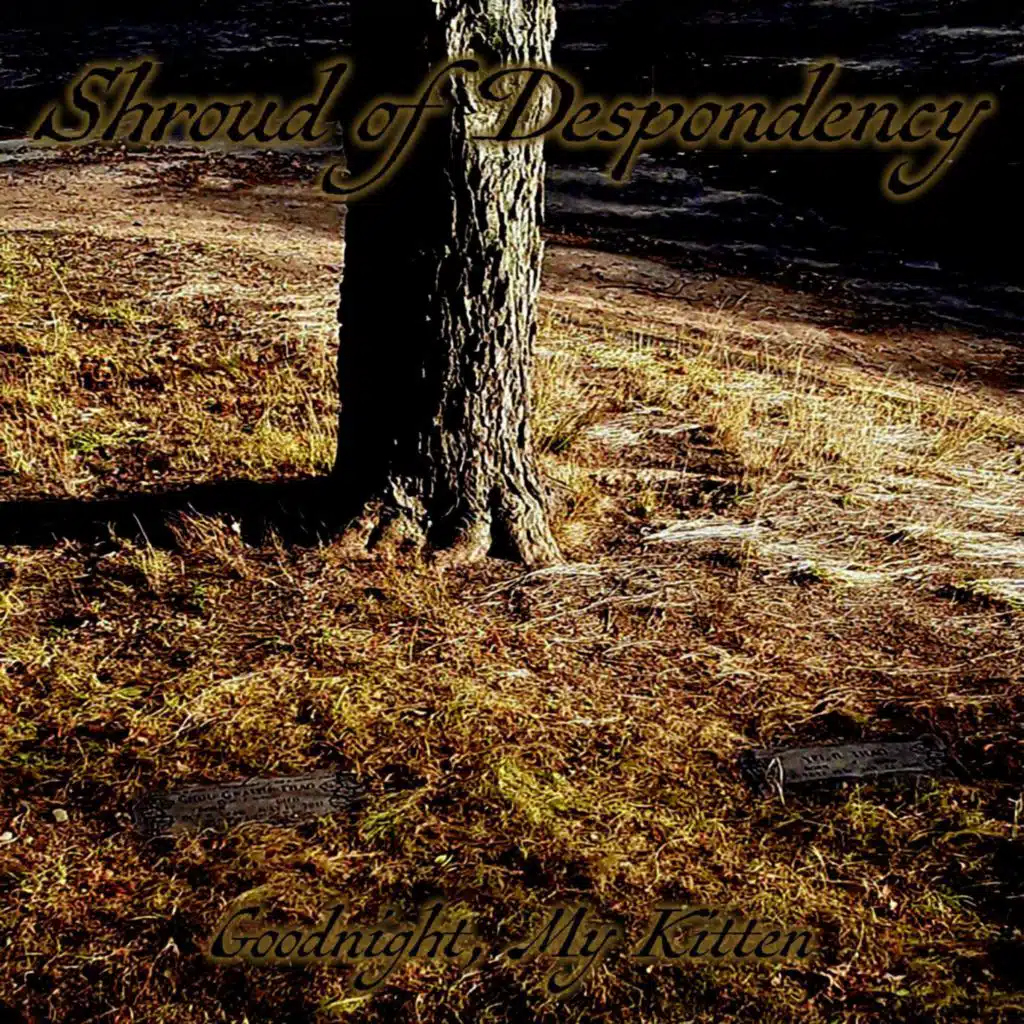 Goodnight, My Kitten