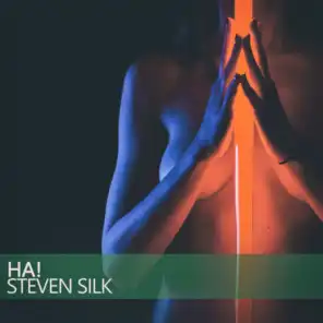 Steven Silk