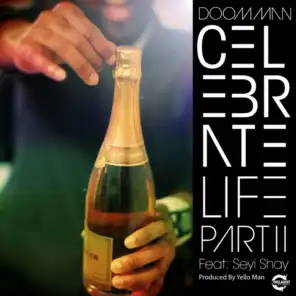 Celebrate Life Pt II (Radio Edit)