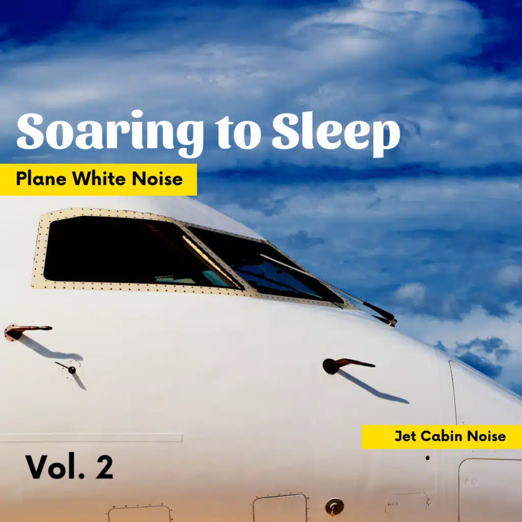 Soaring to Sleep with Plane White Noise (Airplane Sounds)