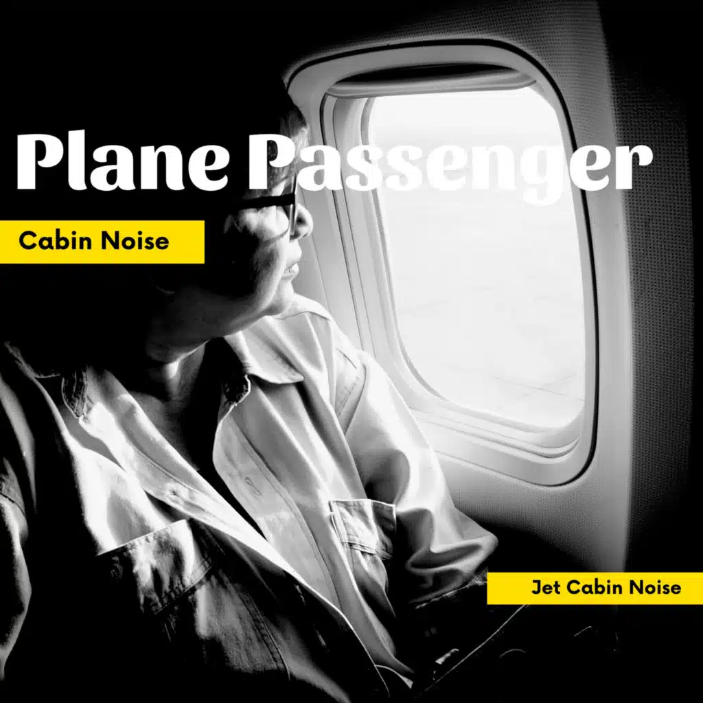 Plane Passenger Cabin Noise, Vol. 2