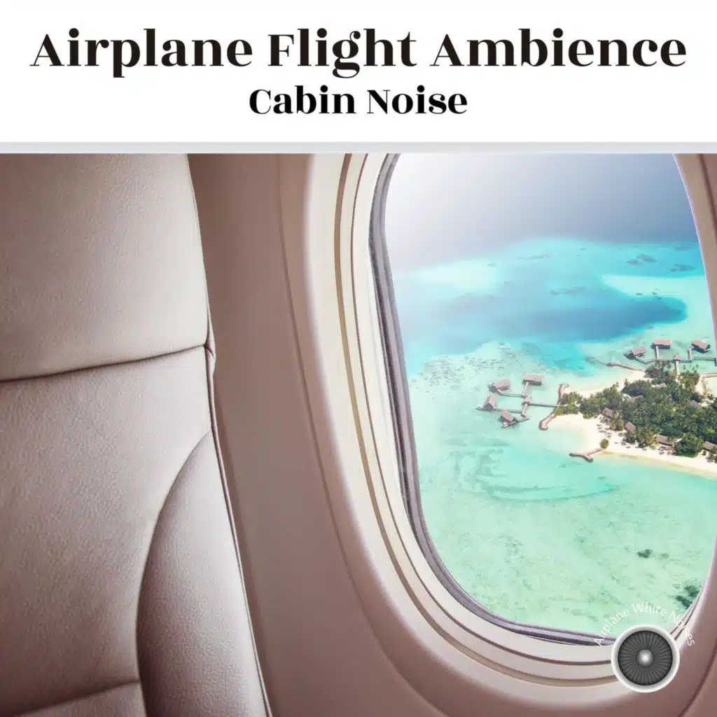 Airplane Flight Ambience (Cabin Noise)