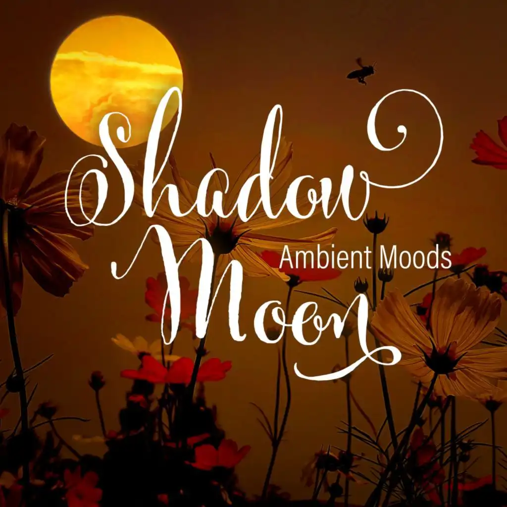 Shadow Moon - Ambient Moods