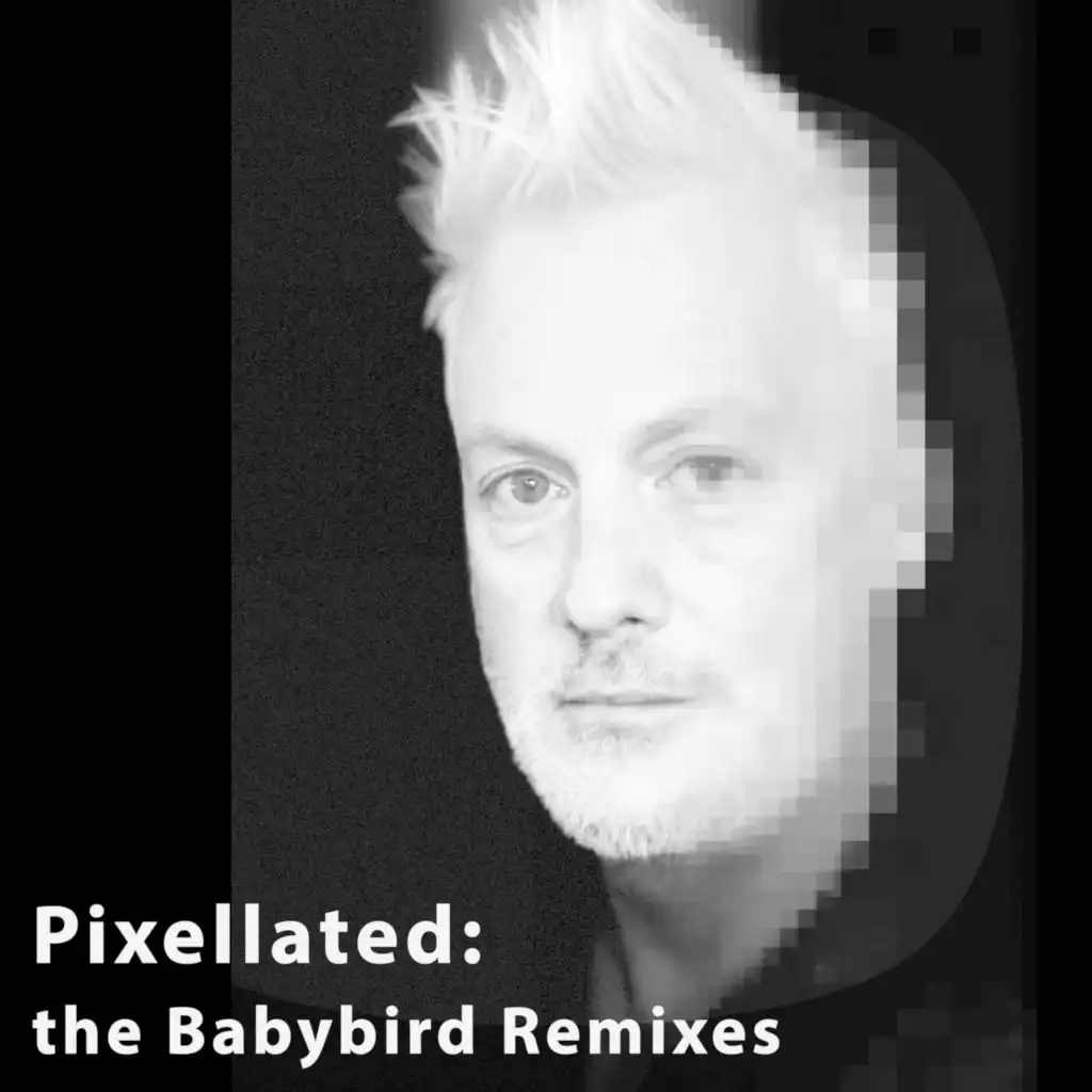 Pixellated: the Babybird Remixes