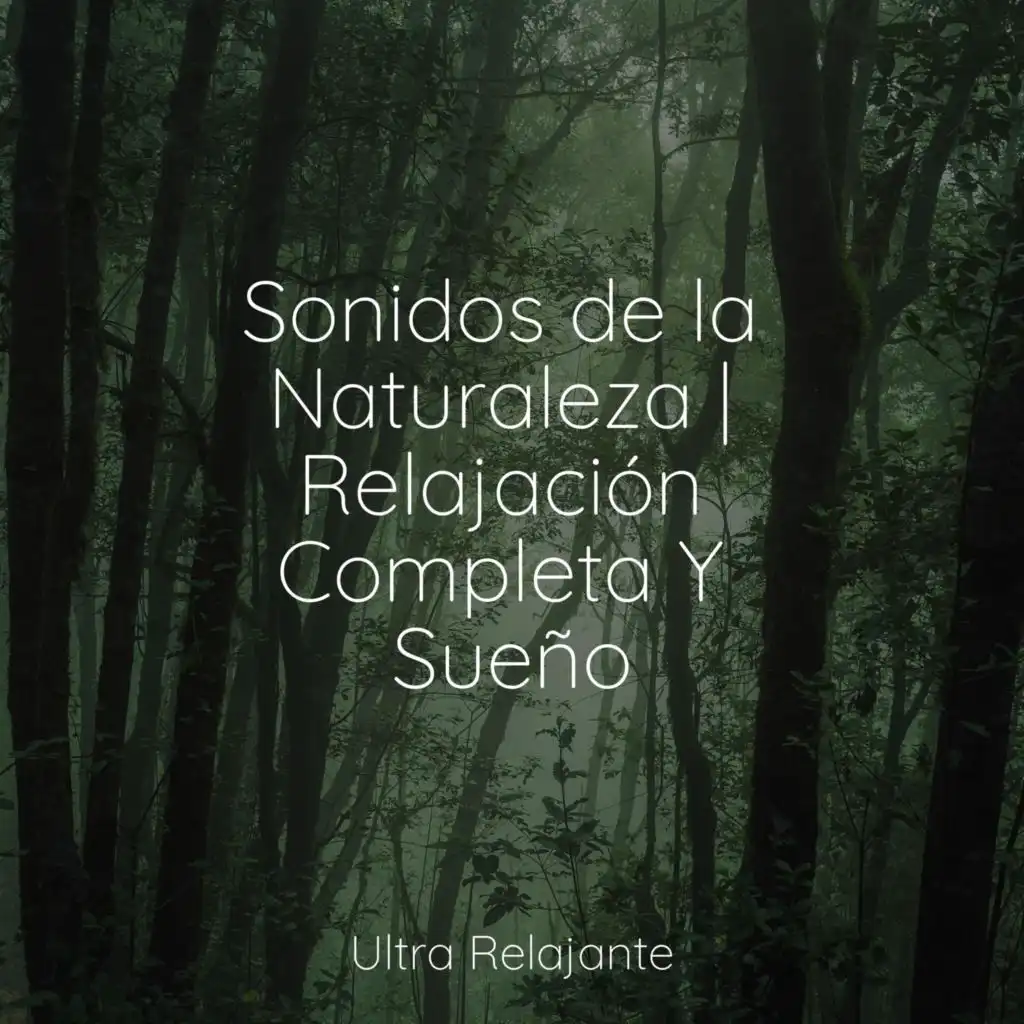 Canción De Cuna