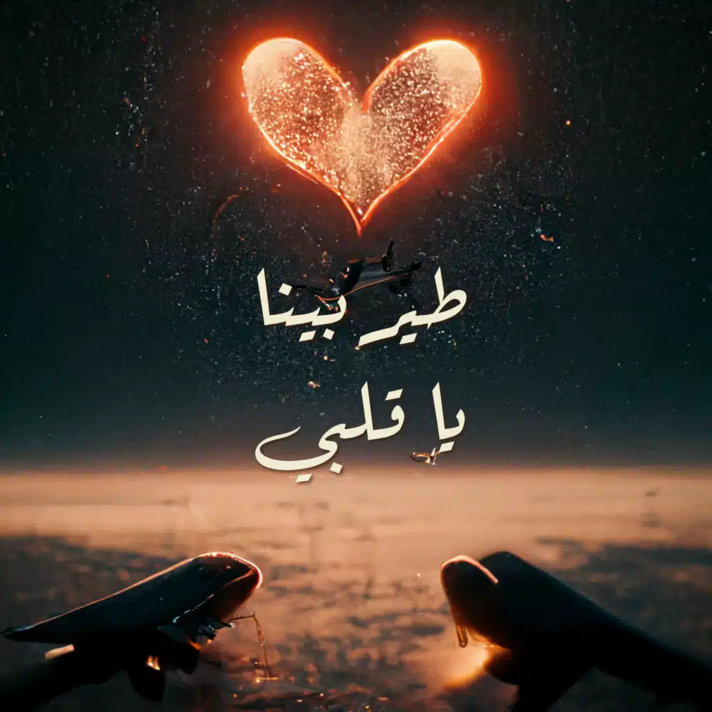 طير بينا يا قلبي (Cover)