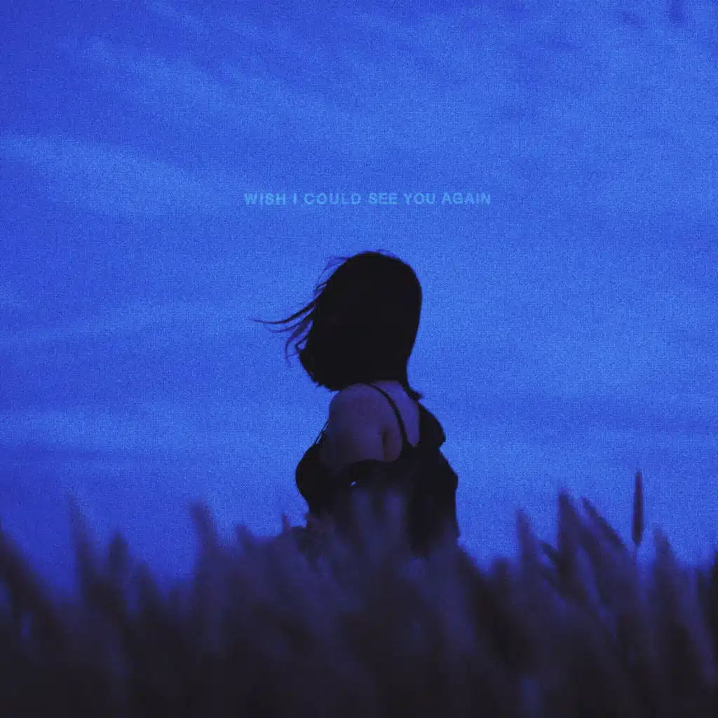 wish i could see you again