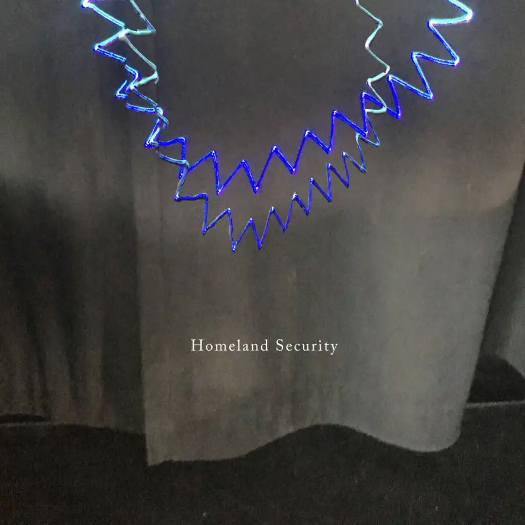 Homeland Security