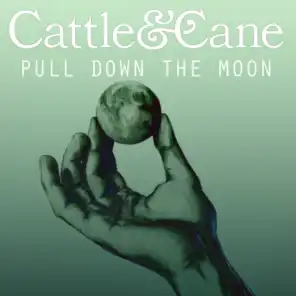 Pull Down The Moon