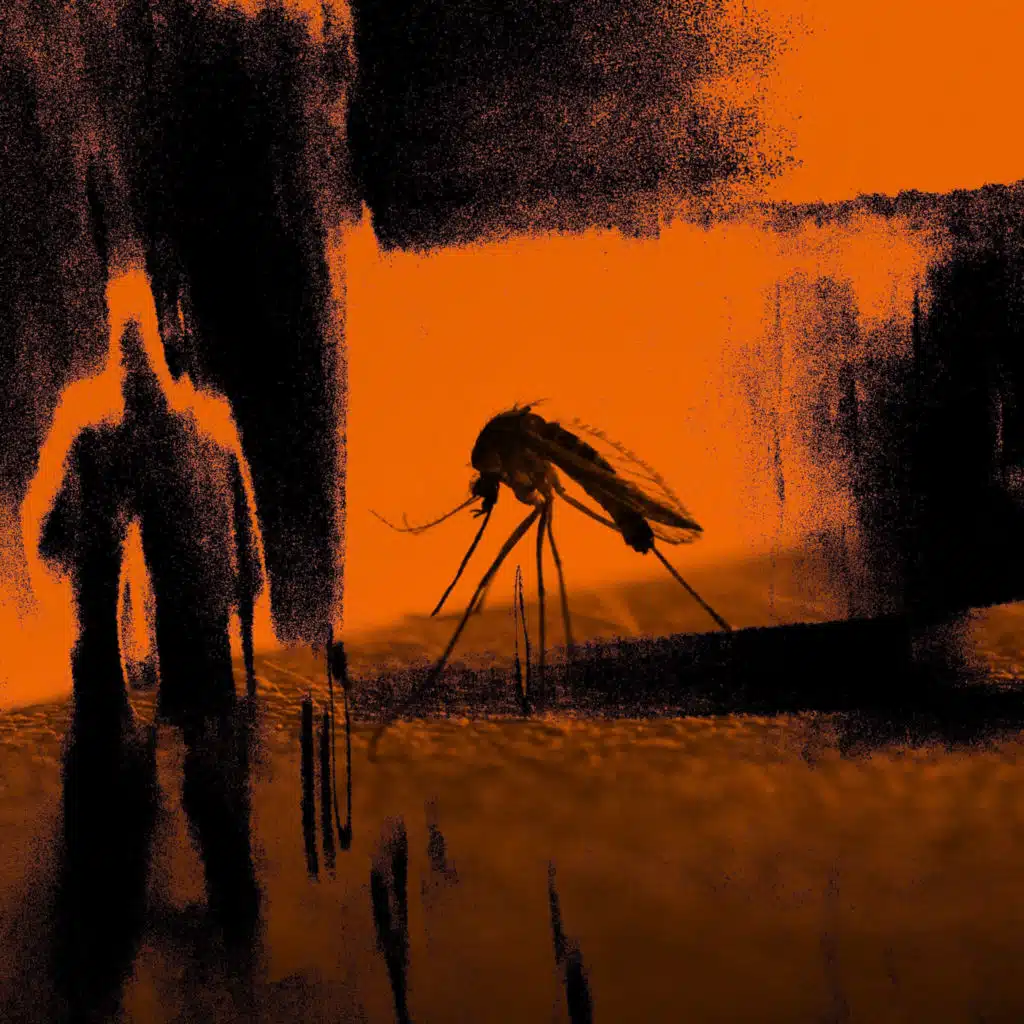 Faster Than the Radio / Mosquito