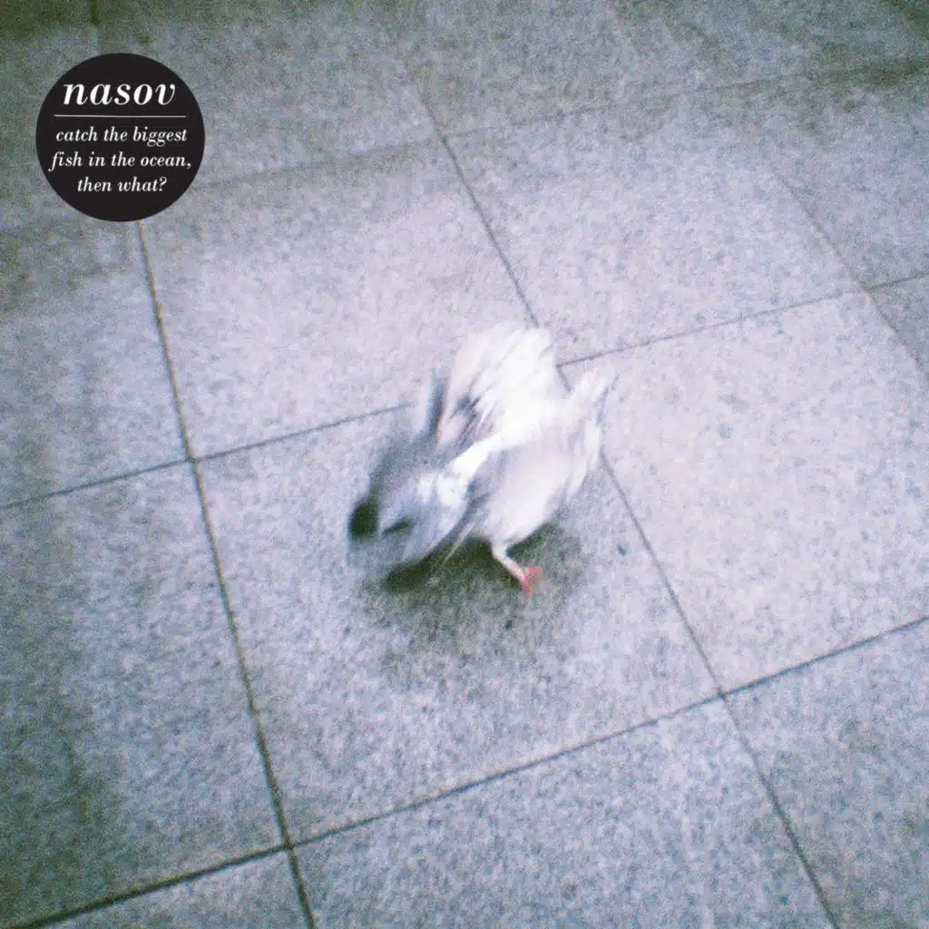 Catch the biggest fish in the ocean, then what?