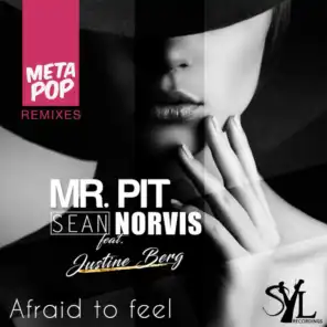 Afraid to feel: MetaPop Remixes