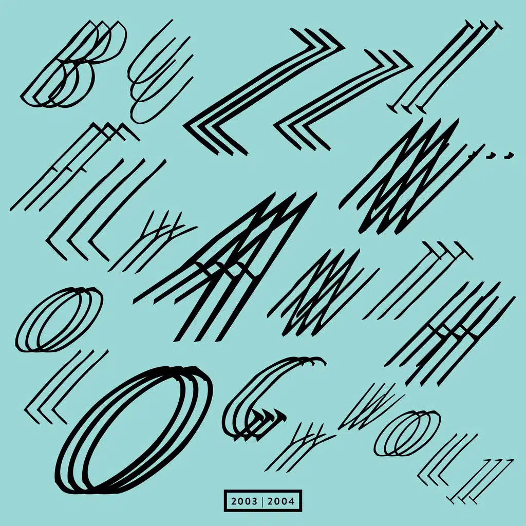 Buzzin' Fly Anthology Vol. 1, 2003-2004