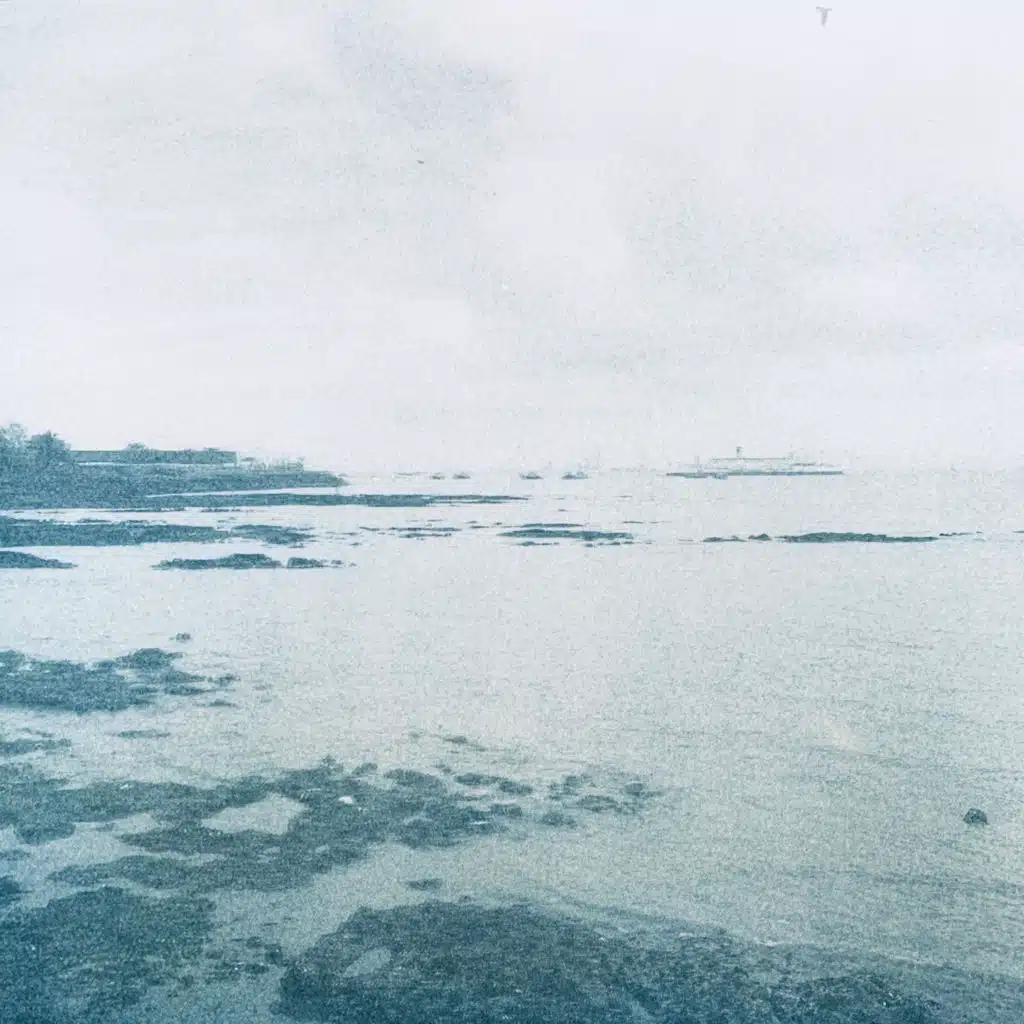 By the Sea