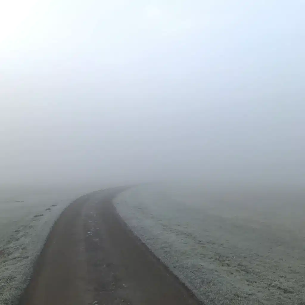 Send in the Clowns (feat. Lisa Hannigan)