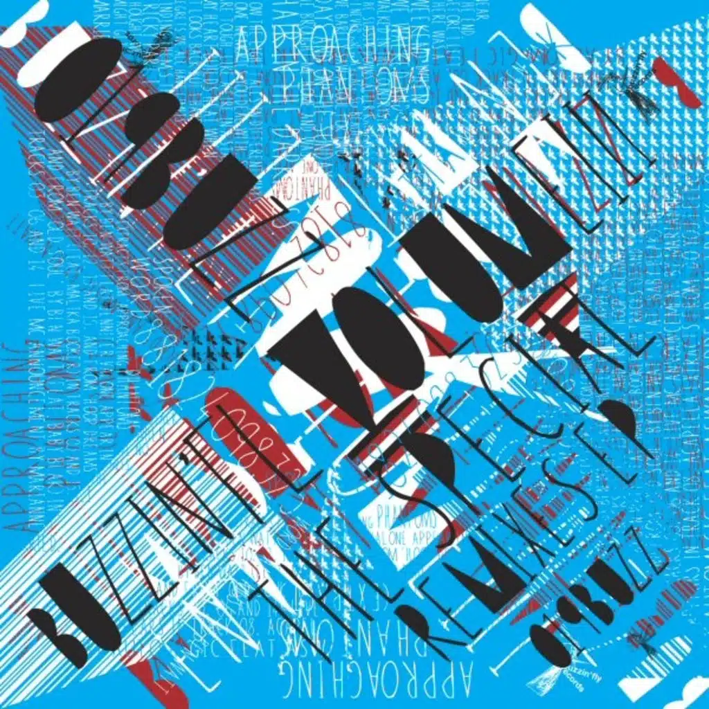 Buzzin' Fly Vol 3 (The Special Remixes)