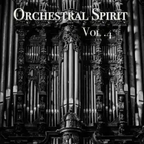 Orchestral Spirit Vol. 4