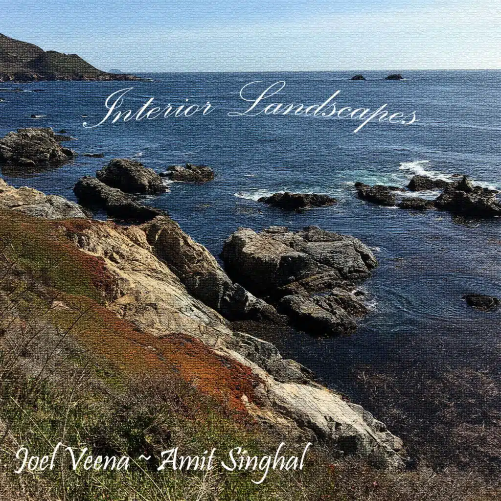 Joel Veena & Amit Singhal